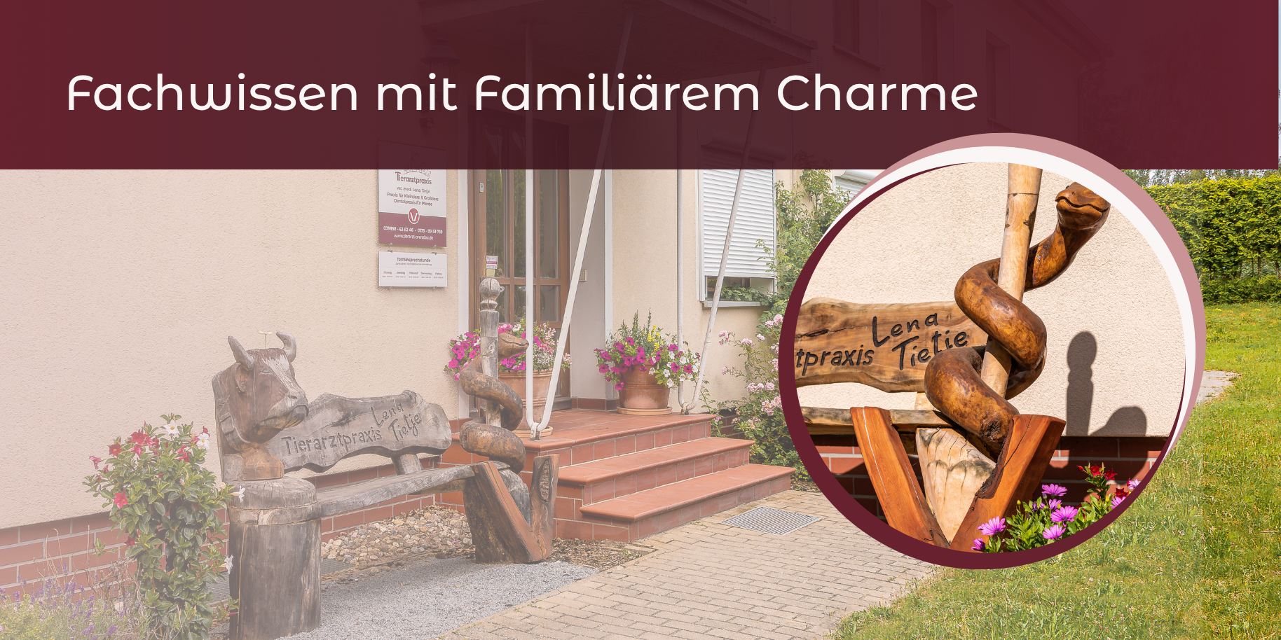 Teaserbild Tierarztpraxis Lena Tietje